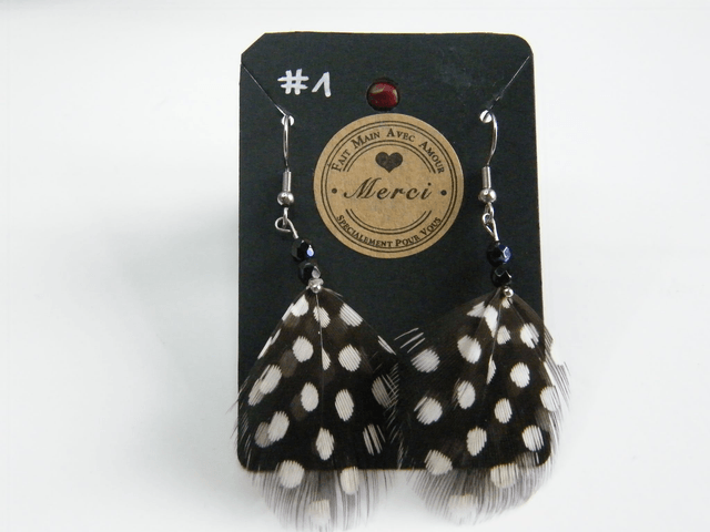 Plumes Naturelles Petites