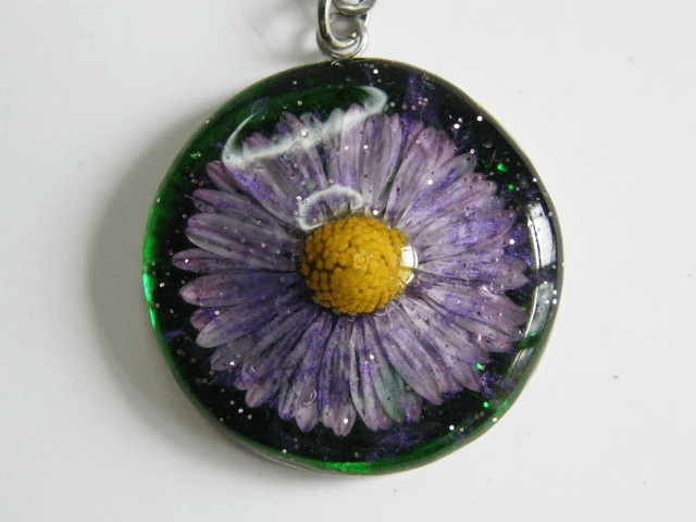 Pâquerette Violet/Vert