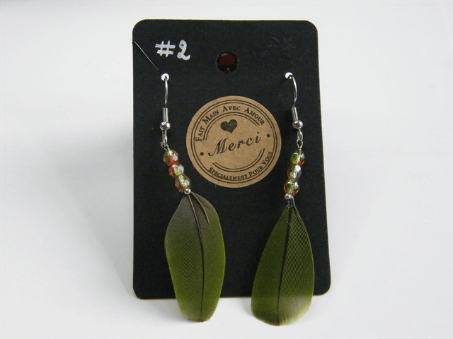 Plumes Naturelles Petites