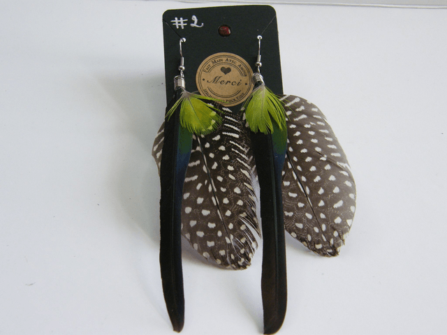 Plumes Naturelles Grandes Multiples