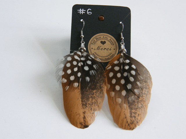 Plumes Naturelles Grandes