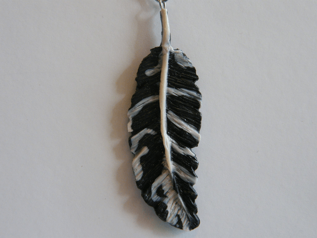 Plume Noir/Blanc
